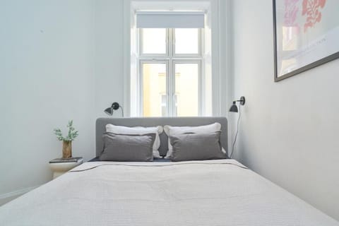 Light and spacious apartment in City-centre Apartment in Copenhagen