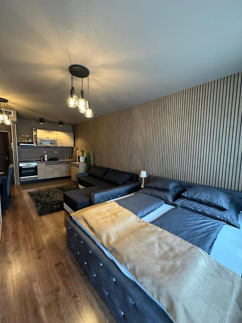Bed, Kitchen or kitchenette, Living room, Photo of the whole room, Seating area, Dining area, stove