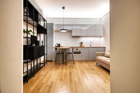 Kitchen or kitchenette, Living room, Seating area, Dining area, stove