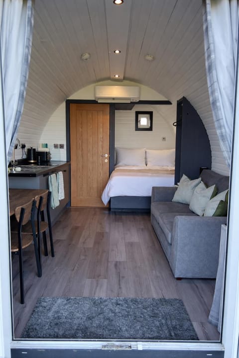 Bed, Kitchen or kitchenette, Living room, Photo of the whole room, Dining area, Bedroom