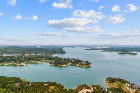 New Cabin Overlooking Douglas Lake Hot Tub Cabin in Douglas Lake