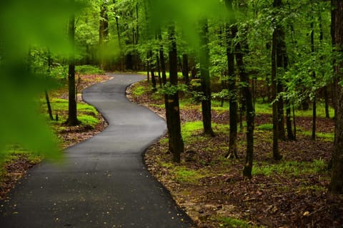 The Emerald Cove Residence Lake Oconee Luxury! House in Lake Oconee