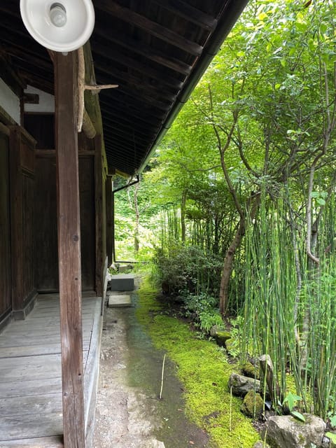 Spring, Natural landscape, Garden, Garden view