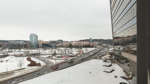 View (from property/room), City view, River view