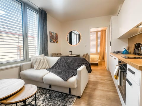 Kitchen or kitchenette, Living room, Seating area, Dining area, oven, stove