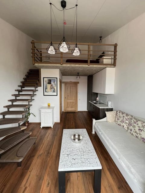 Kitchen or kitchenette, Living room