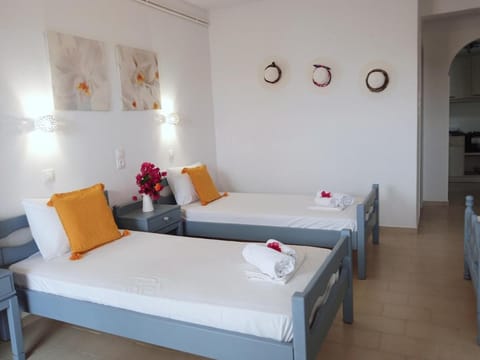 Nektarias Apartment No3 Apartment in Naousa