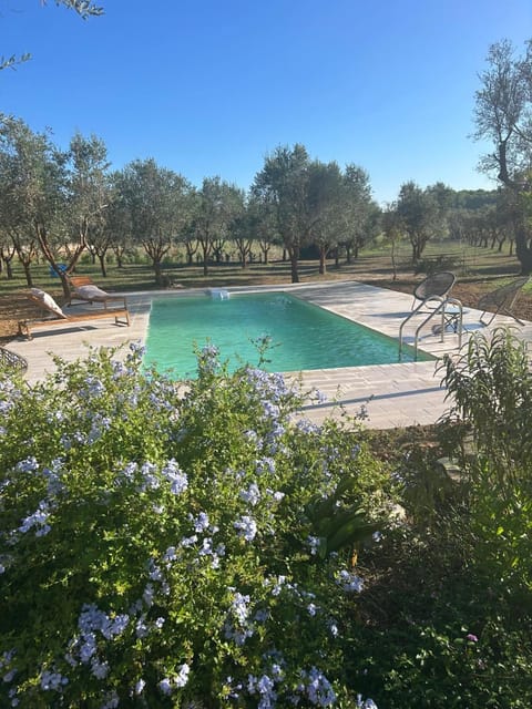 Garden, Swimming pool