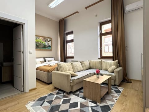 Bed, TV and multimedia, Living room, Photo of the whole room, Seating area, Bedroom, air conditioner