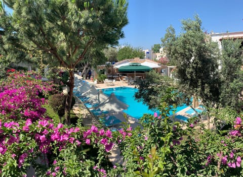 Garden, Garden