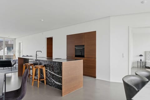 Luxury Penthouse in Top Class Islands Brygge Apartment in Copenhagen