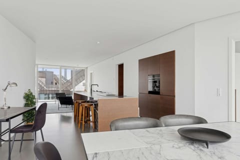 Luxury Penthouse in Top Class Islands Brygge Apartment in Copenhagen