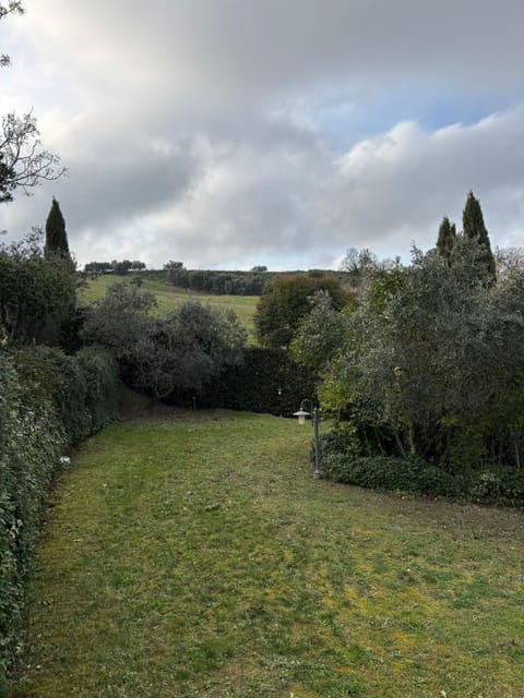 Natural landscape, Garden, Garden view