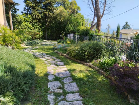 Natural landscape, Garden