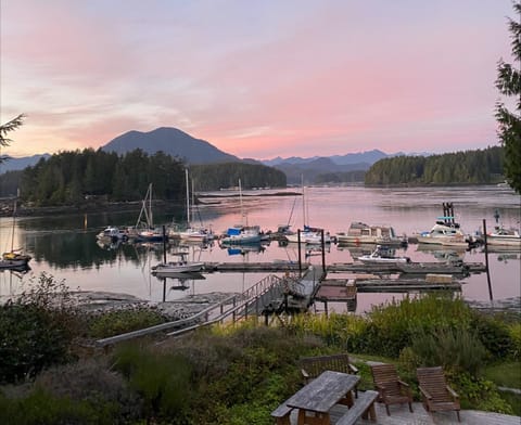 Mountain view, Sunset