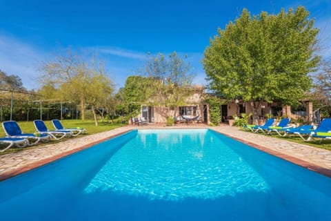 Property building, Garden, Swimming pool, sunbed