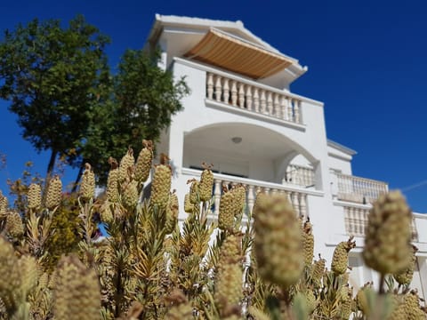 Property building, Facade/entrance, Day, Garden, View (from property/room), Balcony/Terrace, Garden view