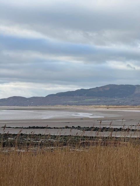 Paws a while Apartment in Southerness