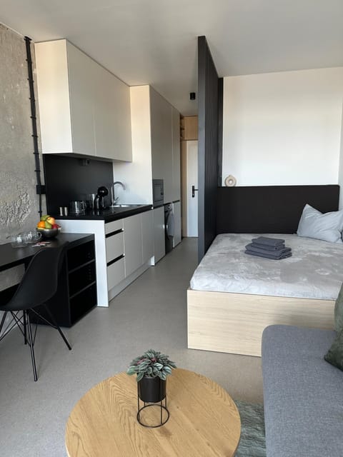 Bed, Kitchen or kitchenette, Living room, Photo of the whole room, Seating area, Bedroom, stove