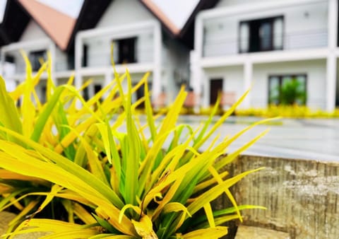 Property building, Garden, Garden view, Pool view, Pool view, Swimming pool