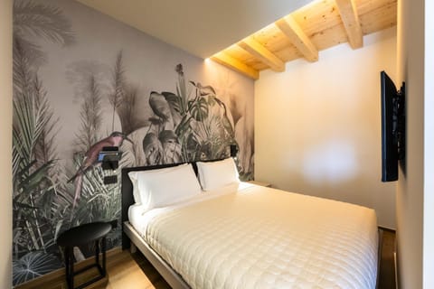 Bed, TV and multimedia