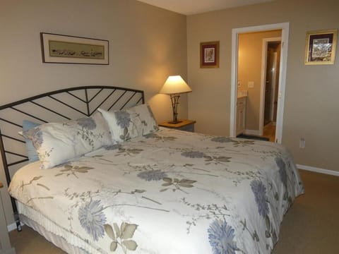 Courtside Condo at Summit Apartment in Michigan