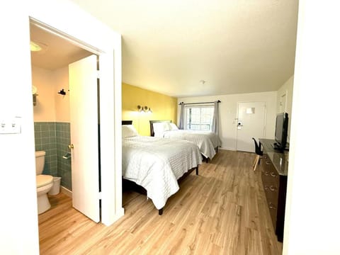 Eureka Vibes Walk to Downtown Trolley Apartment in Eureka Springs