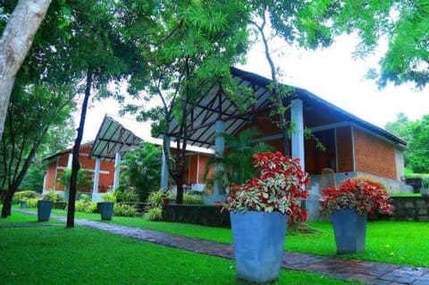 Day, Natural landscape, Garden