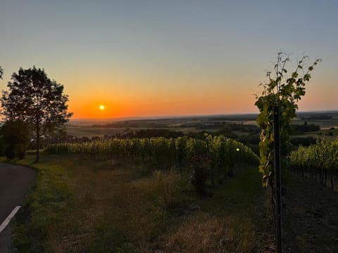 Natural landscape, Sunset