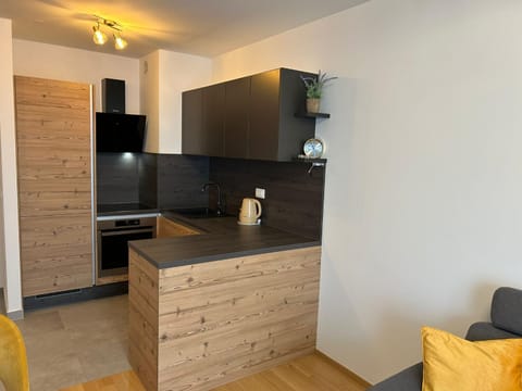 Kitchen or kitchenette, oven, stove