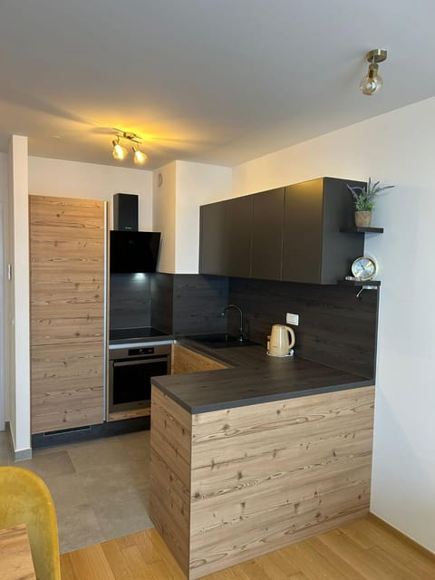 Kitchen or kitchenette, oven, stove