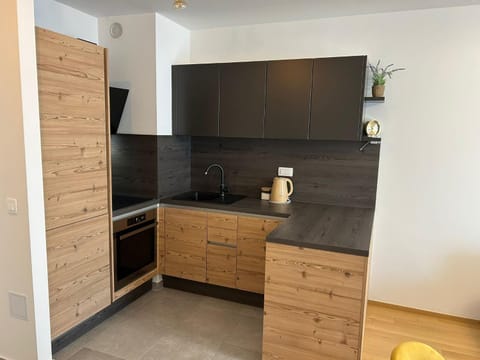 Kitchen or kitchenette, oven, stove