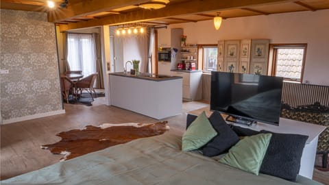 Kitchen or kitchenette, Living room, Seating area, Dining area, oven