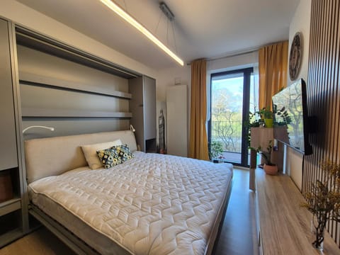 Bed, TV and multimedia, Bedroom