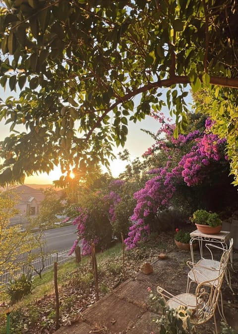 La Quiete Apartment Apartment in Massa Marittima