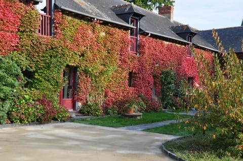 Autumn