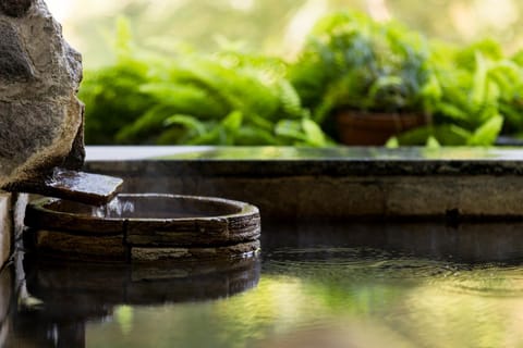 Spring, Natural landscape, Hot Spring Bath