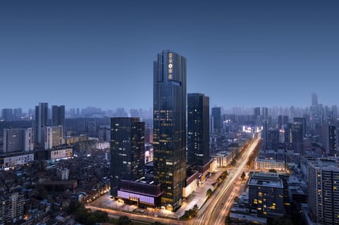 Night, Bird's eye view