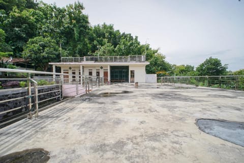 Property building, Day