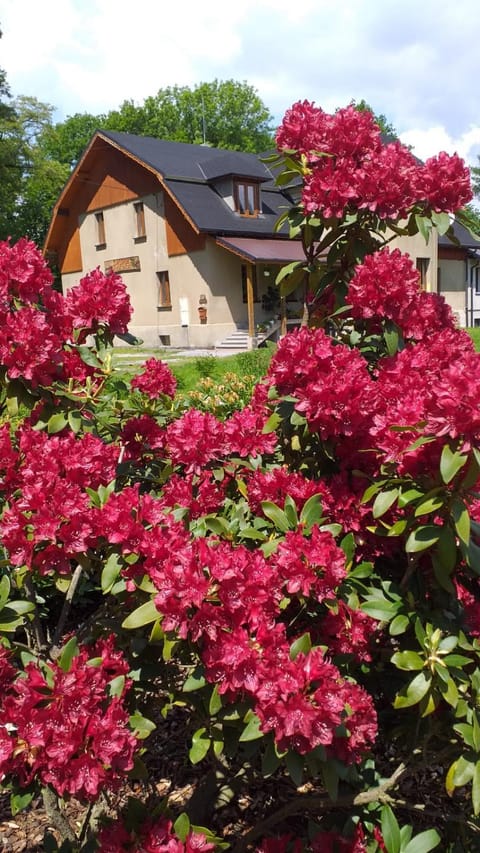 Property building, Day, Garden, Garden view