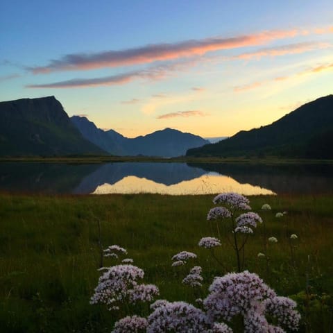 Cozy older house in the middle of Lofoten House in Lofoten