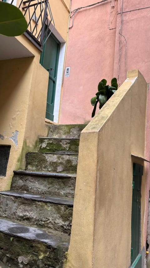 Da Franco Apartment in Vernazza