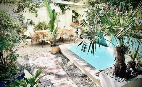 Garden, Garden view, Pool view, Swimming pool, sunbed