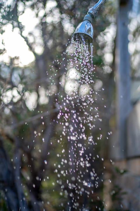 The Shack - Beachside At Binalong House in Binalong Bay