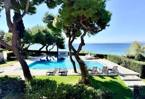 Garden, Garden, Swimming pool, sunbed