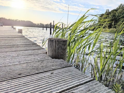 Lake view