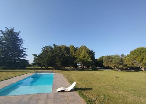 Garden, Pool view, Swimming pool