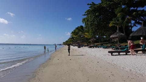 Natural landscape, Beach