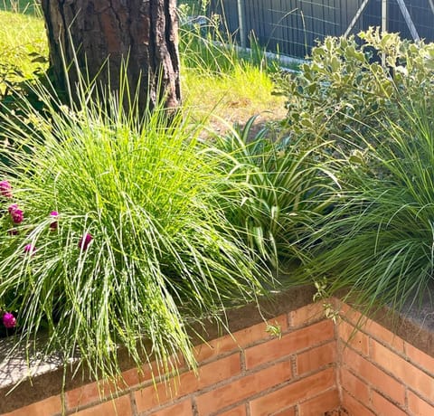 Casa Luna Villa in Lignano Sabbiadoro
