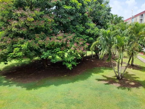 Charmant appartement Apartment in Les Abymes